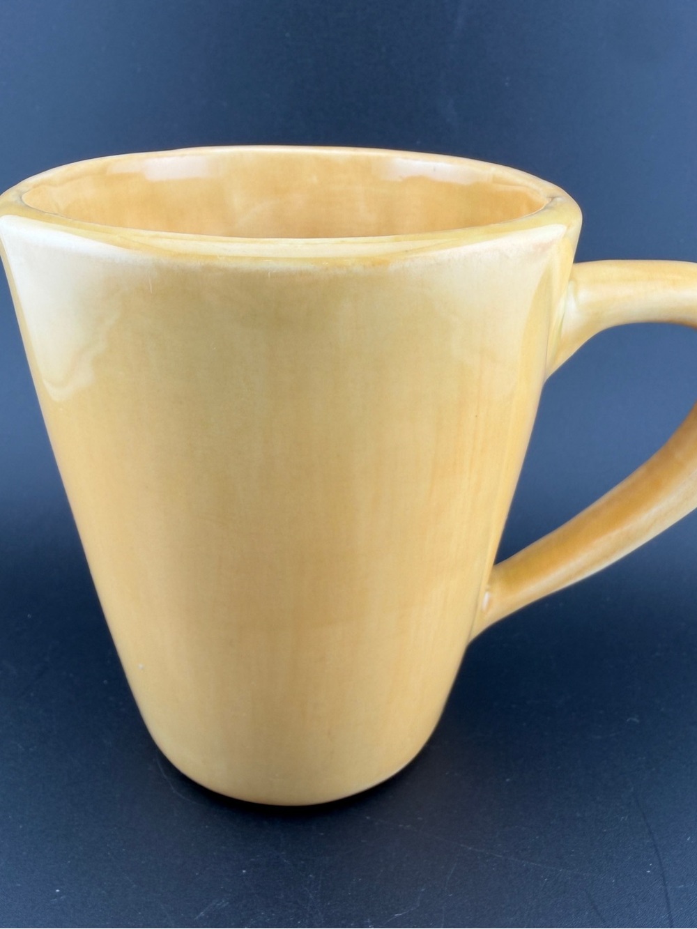 Pottery Barn Yellow/Gold Sausalito Ridge Ceramic Coffee Mug